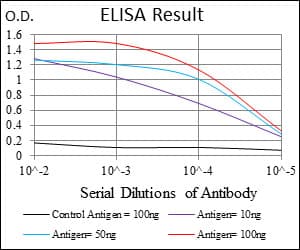 IL2RA / CD25 Antibody (aa34-139, clone 1B5D12)