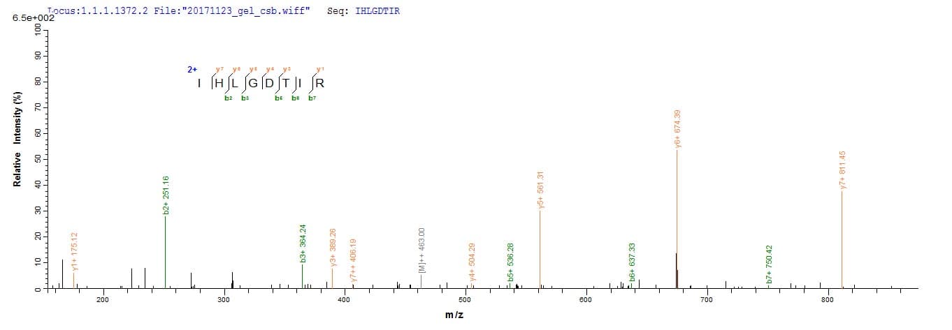 Leishmania donovani LDBPK Protein (Recombinant 6His, N-terminus)