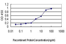 Monoclonal Mouse anti-Human NFX1 Antibody (clone 1D12, IF, WB)