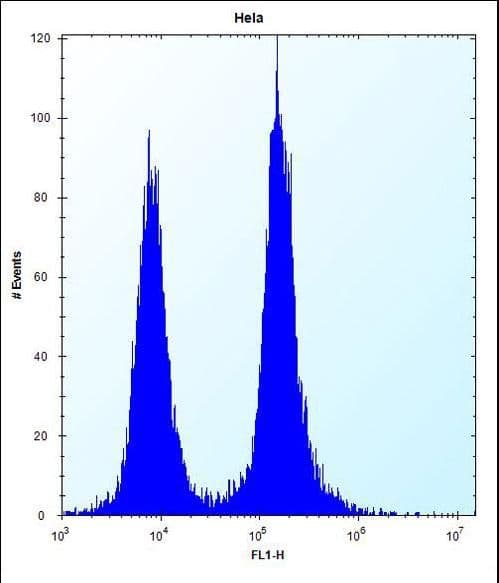 DEFB112 Antibody (aa15-43)