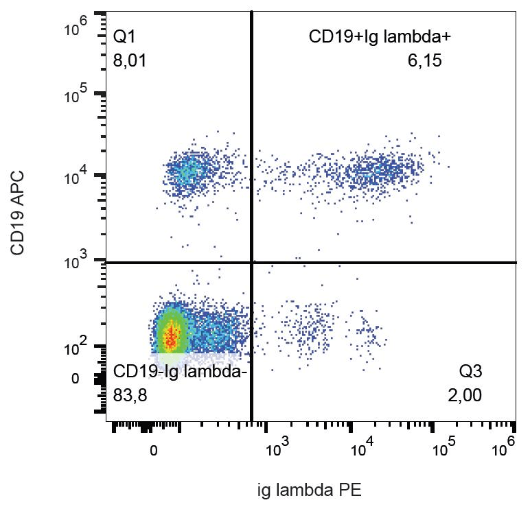 Monoclonal Anti-Mouse Lambda Light Chain Secondary Antibody (clone 1-155-2, PE)
