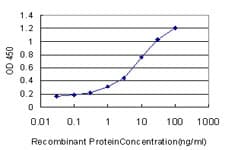Monoclonal Mouse anti-Human RAPGEF1 Antibody (clone 3D10, WB)