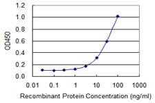 FOXQ1 Antibody (clone 1A10)