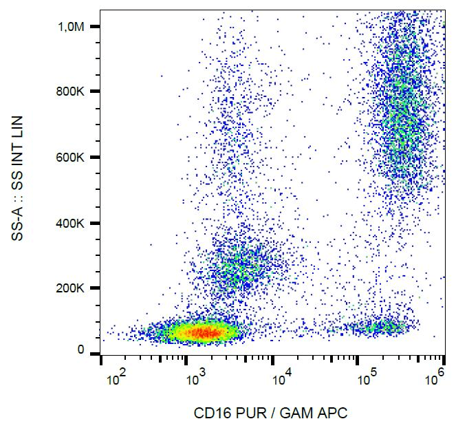 FCGR3A / CD16A Antibody (clone 3G8)