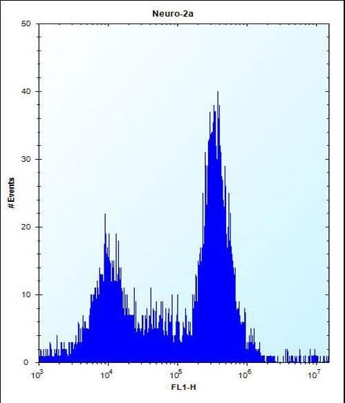 SDF2L1 Antibody (aa160-189)