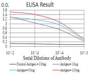 RALA / RAL Antibody (clone 4G8B11)