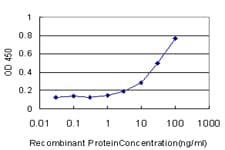 CTSW / Cathepsin W Antibody (clone 4A8)