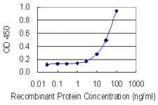 PLG / Plasmin / Plasminogen Antibody (clone 2A10)