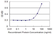 CSNK1G2 / CKI-Gamma 2 Antibody (clone 3F4)