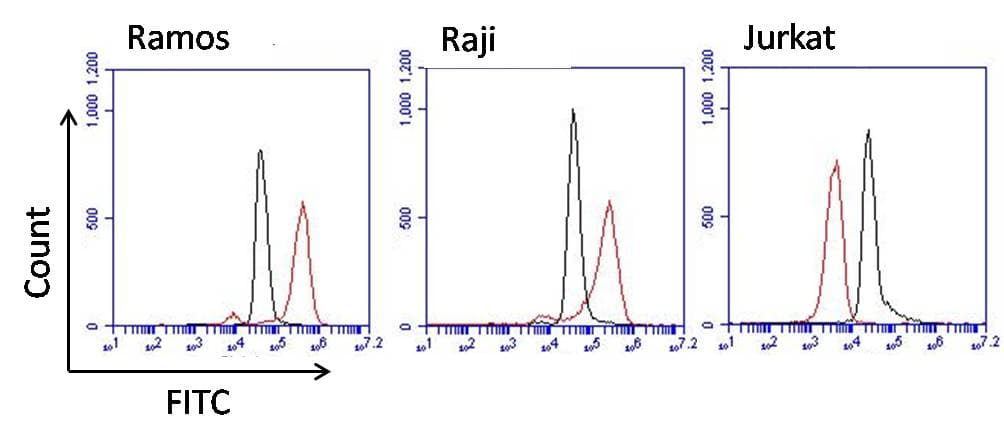 Mouse Anti-Human IgM Secondary Antibody