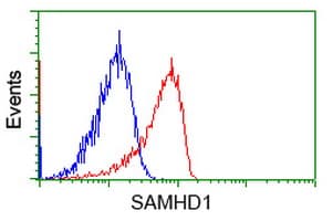 SAMHD1 Antibody (clone OTI3G6)