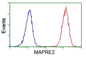 MAPRE2 / EB2 Antibody (clone OTI1D10)