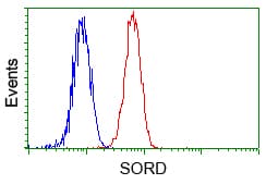 SORD / Sorbitol Dehydrogenase Antibody (clone OTI1D5)