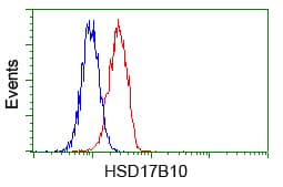 HSD17B10 / HADH2 Antibody (clone OTI10B4)