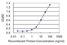BAFF / TNFSF13B Antibody (clone 3G6)