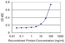 SLC22A6 / OAT1 Antibody (clone 1F2)