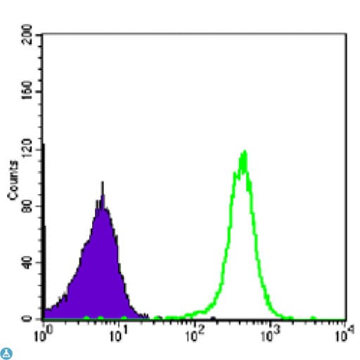 CBX1 / HP1 Beta Antibody