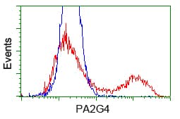 Monoclonal Mouse MYC / c-Myc Antibody (aa408-432, IF, WB)