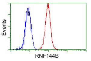 RNF144B Antibody (clone OTI3D7)