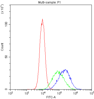 CD209 / DC-SIGN Antibody