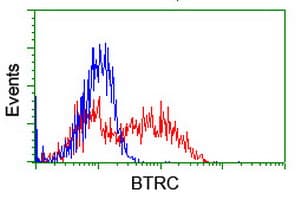 BTRCP / BETA-TRCP Antibody (clone OTI1F10)