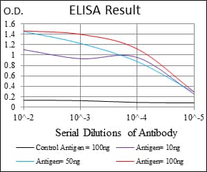 IHC-plus™ Monoclonal Mouse anti-Human PAI-RBP1 / SERBP1 Antibody (clone 1D5, IHC, WB)