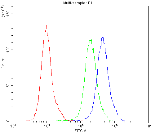 AQP2 / Aquaporin 2 Antibody (aa241-271)