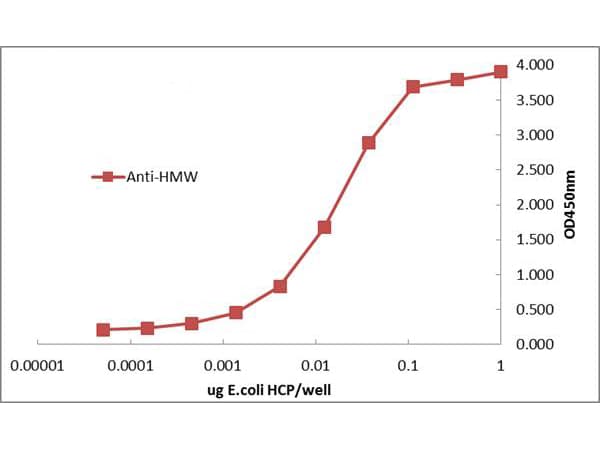 Polyclonal Rabbit anti-E. coli E. coli HMW Proteins Antibody (WB)