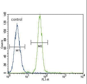 HMOX1 / HO-1 Antibody (aa177-204)