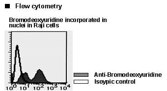 BrdU Antibody (clone 2B1, PE)