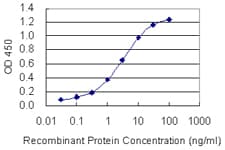 Monoclonal Mouse anti-Human PLA2G10 Antibody (clone 5G11, WB)