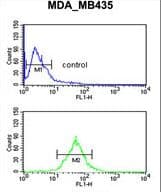 TFPT / Amida Antibody (aa60-88)