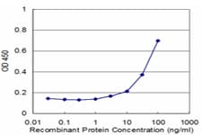 PSMA1 Antibody (clone 3D8)