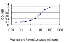 IMPDH2 Antibody (clone 1E12-B6)
