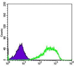 XRCC5 / Ku80 Antibody (clone 5C5)