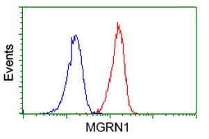 MGRN1 Antibody (clone OTI1A11)
