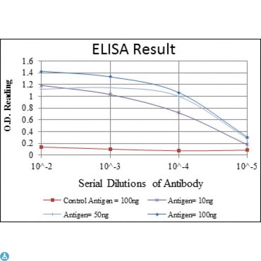 Monoclonal Mouse anti-Human MAP3K2 / MEKK2 Antibody (IF, WB)