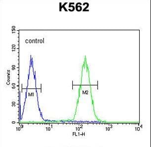 LCE2B Antibody (aa61-90)