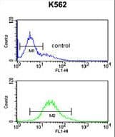 RPS15A Antibody (aa1-30)
