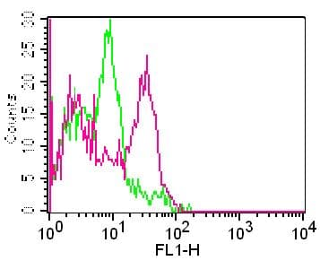 SLC3A2 / CD98 Heavy Chain Antibody (FITC)