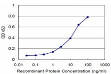 MPHOSPH6 Antibody (clone 4F11)