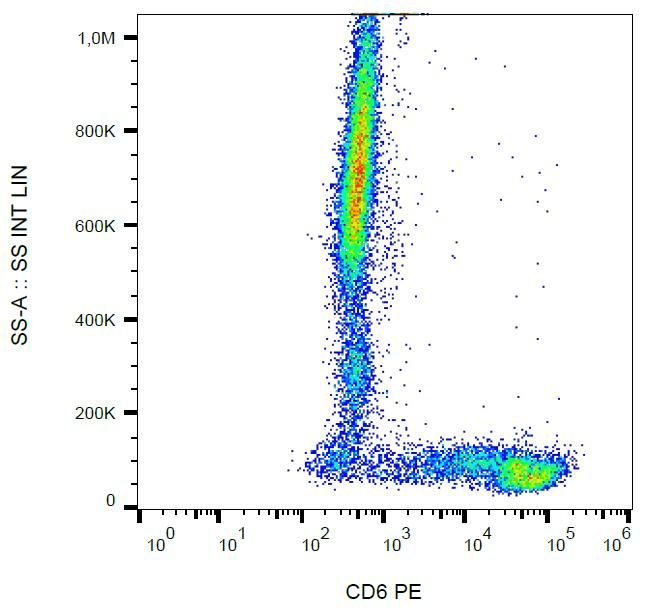 Monoclonal Mouse anti-Human CD6 Antibody (clone MEM-98, PE, IHC, WB)