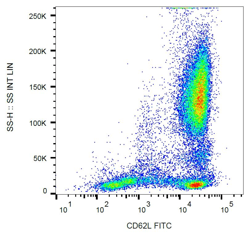 SELL / L-Selectin / CD62L Antibody (clone LT-TD180, FITC)