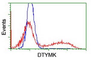 Thymidylate Kinase Antibody (clone OTI1H4)