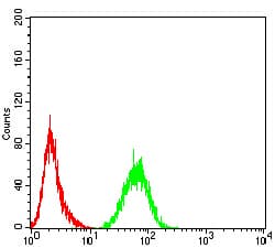Adiponectin Antibody (clone 3A12D5)