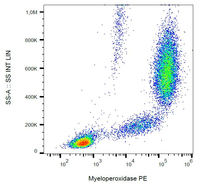 MPO / Myeloperoxidase Antibody (clone MPO421-8B2, PE)