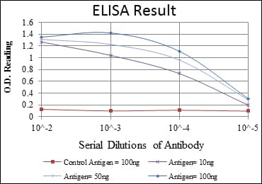 LIMS1 / PINCH Antibody (clone 5G7)