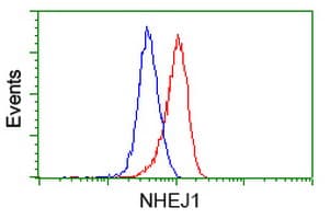 NHEJ1 / XLF Antibody (clone OTI3E6)