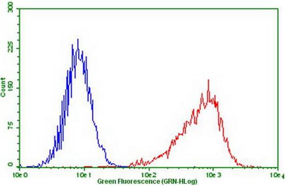 Monoclonal Mouse anti-Human PDCD1 / CD279 / PD-1 Antibody (clone OTI17F7, IF, WB)