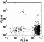 CCR3 Antibody (clone 5E8-G9-B4, APC)